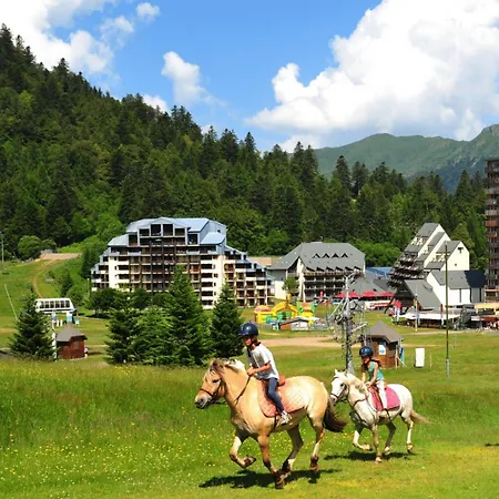- Coeur De Station - Super Lioran Apartment Laveissiere